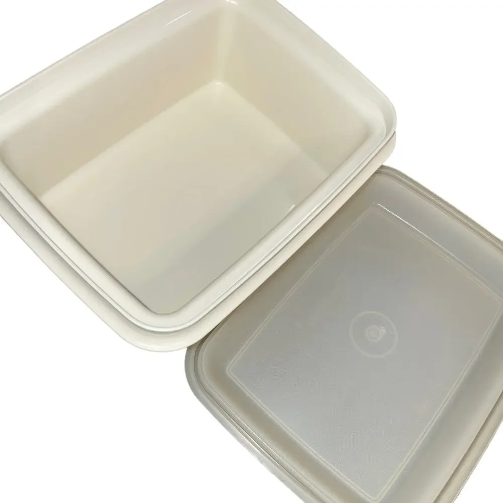 Tupperware Freeze N Save Ice Cream Container Almond Base 125 VTG4 Sheer Lid 1255
